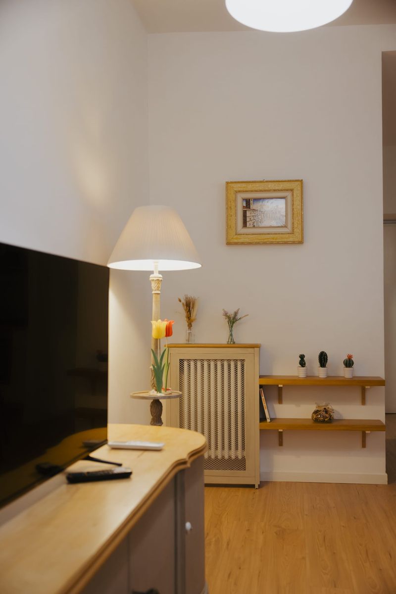 Angolo soggiorno con televisore, lampada a colonna, copricalorifero in legno e mensole con piccole piante grasse